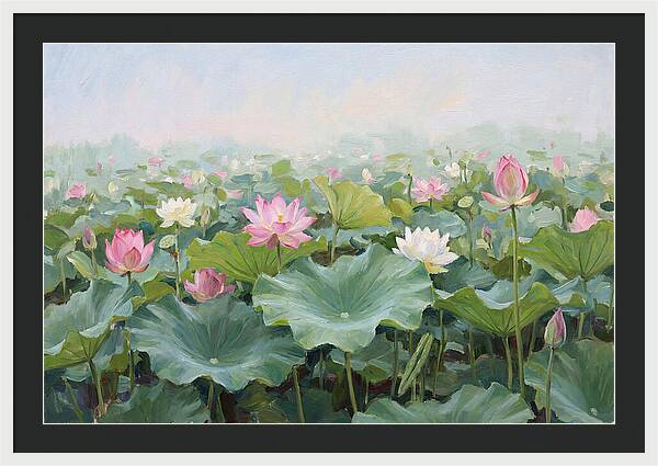 Tranquil Lotus Reflections