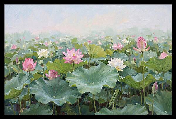 Tranquil Lotus Reflections