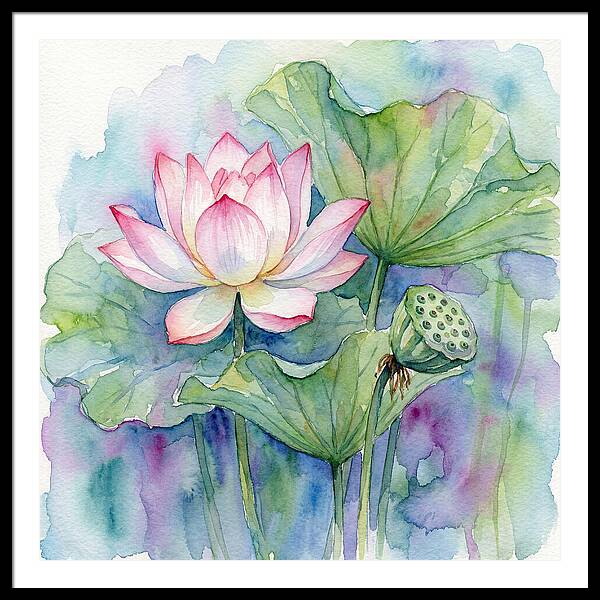 Tranquil Lotus Reflections