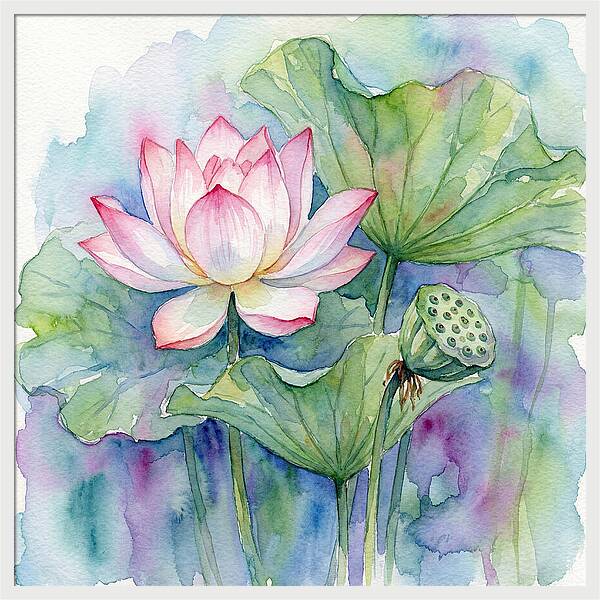 Tranquil Lotus Reflections