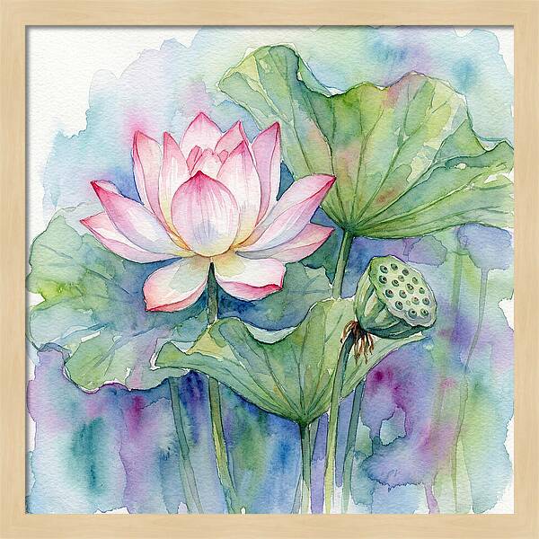Tranquil Lotus Reflections