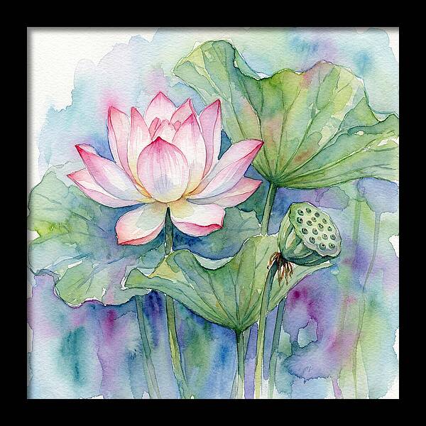 Tranquil Lotus Reflections