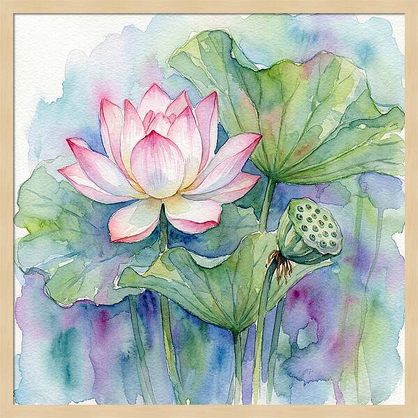 Tranquil Lotus Reflections
