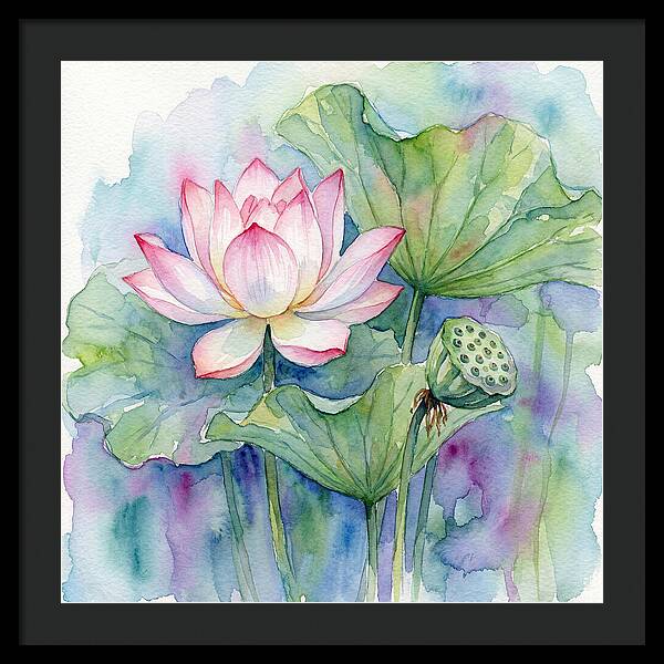 Tranquil Lotus Reflections