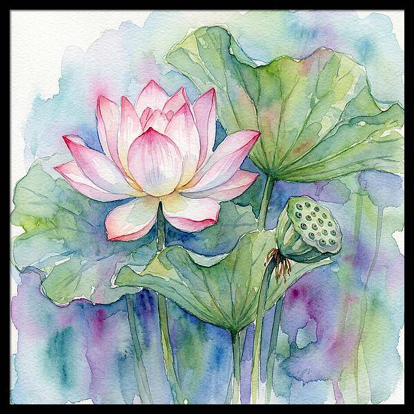 Tranquil Lotus Reflections