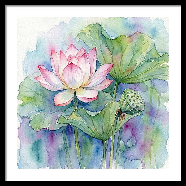 Tranquil Lotus Reflections