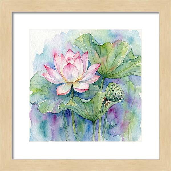 Tranquil Lotus Reflections