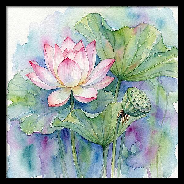 Tranquil Lotus Reflections