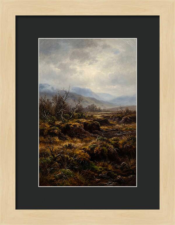 Tranquil Marsh Reflections