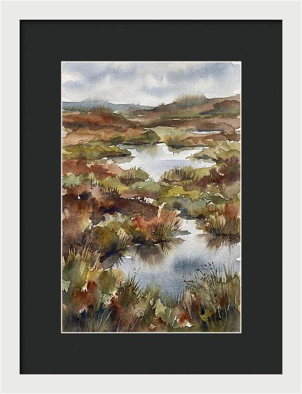 Tranquil Marshland Escape