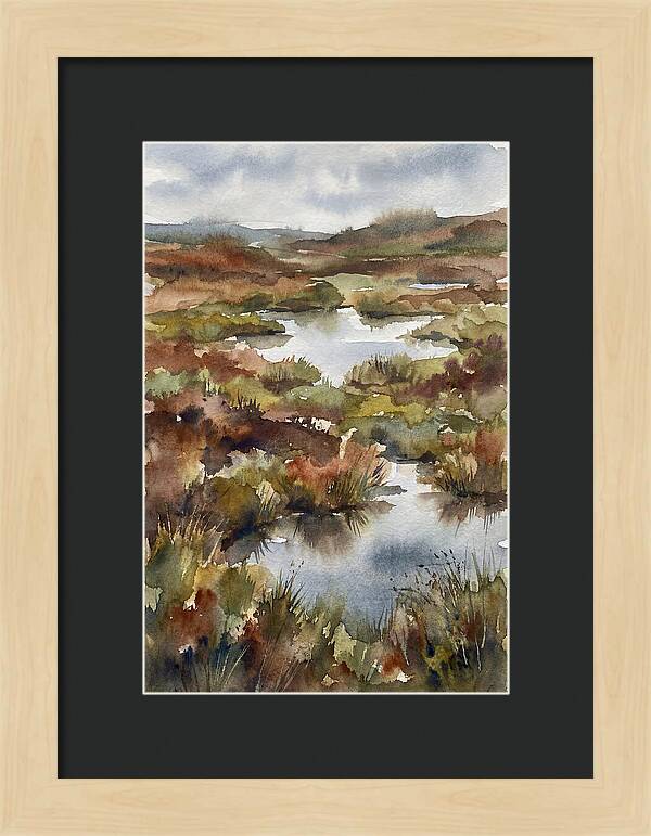 Tranquil Marshland Escape