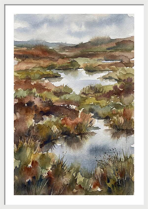 Tranquil Marshland Escape