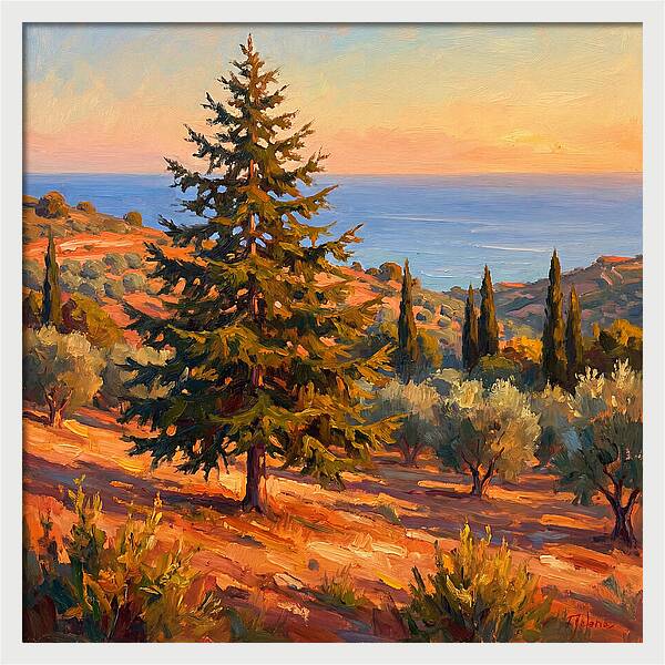 Tranquil Mediterranean Escape
