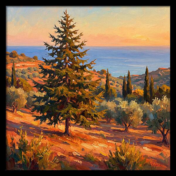 Tranquil Mediterranean Escape
