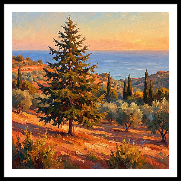 Tranquil Mediterranean Escape