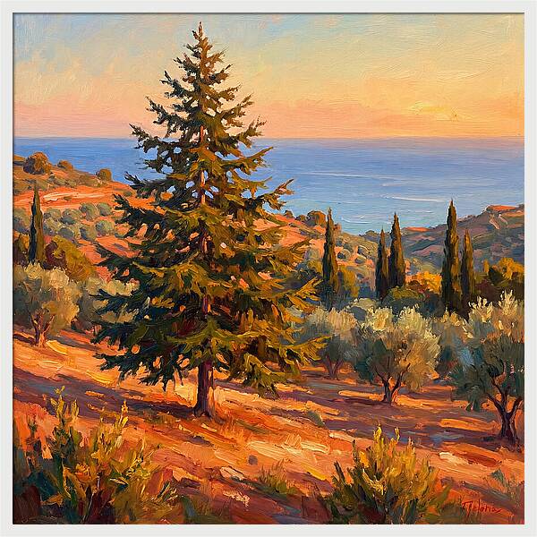 Tranquil Mediterranean Escape