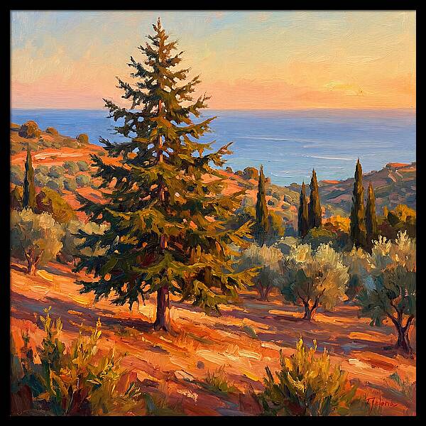 Tranquil Mediterranean Escape