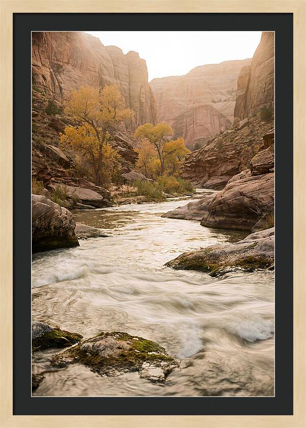 Tranquil Moments At Buffalo National River