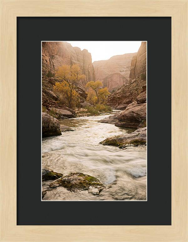 Tranquil Moments At Buffalo National River