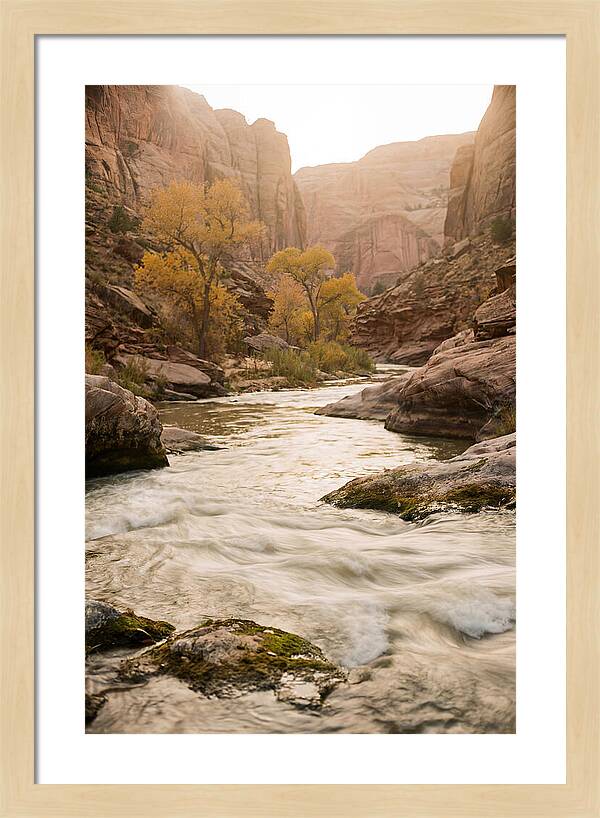 Tranquil Moments At Buffalo National River