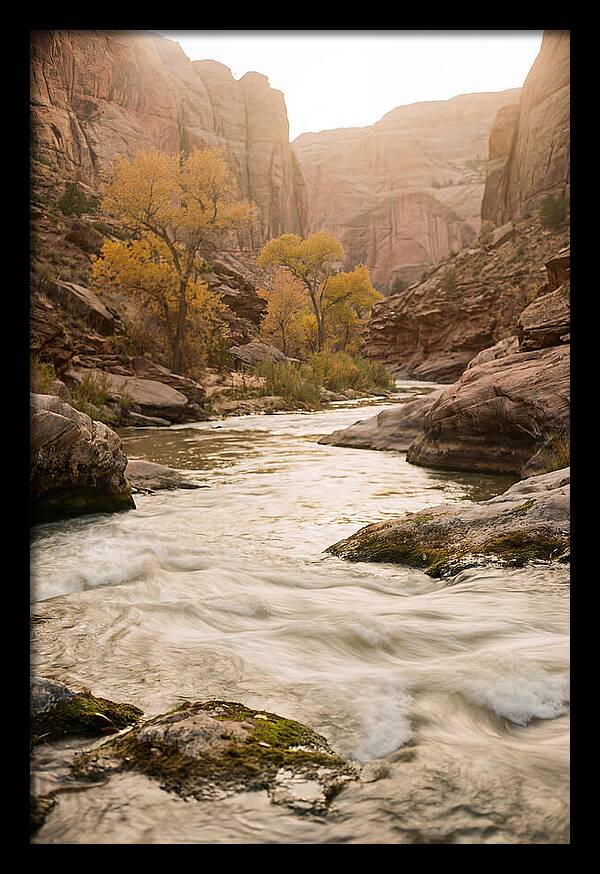 Tranquil Moments At Buffalo National River