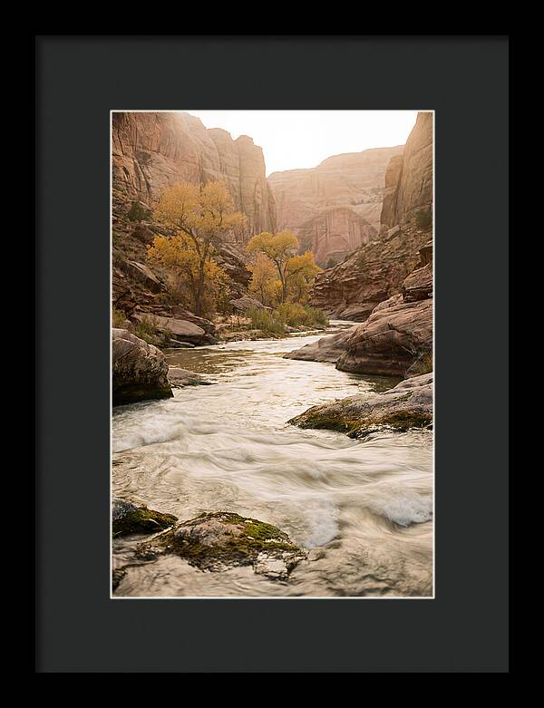Tranquil Moments At Buffalo National River