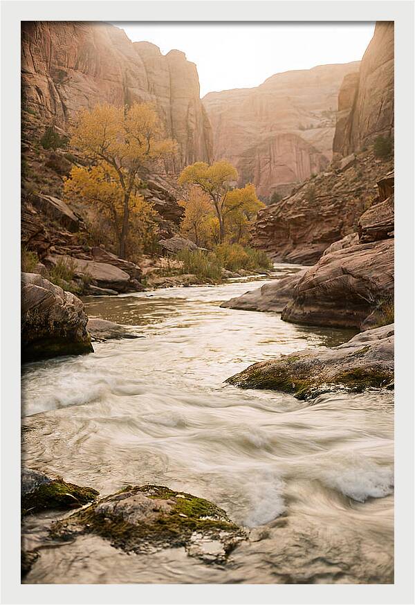 Tranquil Moments At Buffalo National River