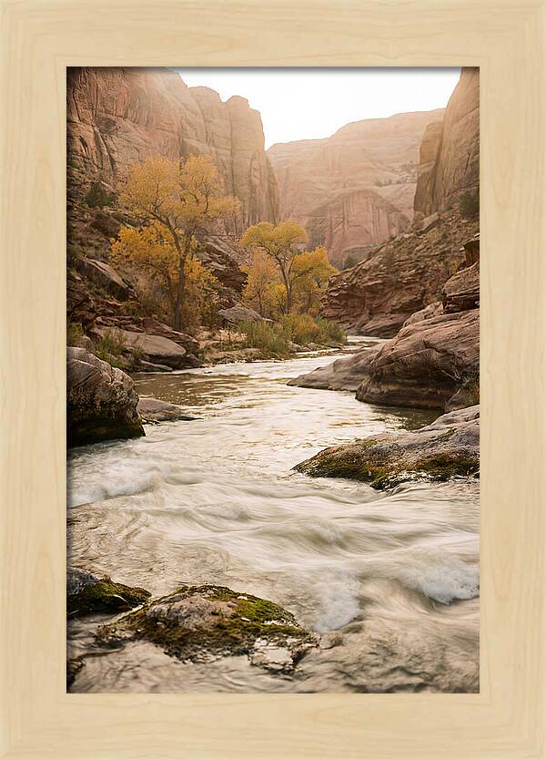 Tranquil Moments At Buffalo National River