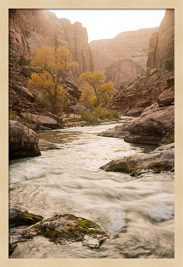 Tranquil Moments At Buffalo National River