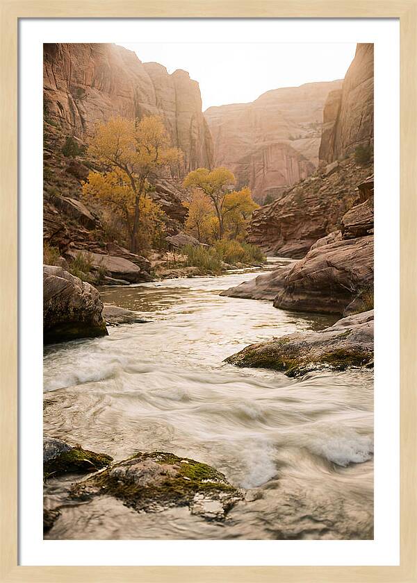 Tranquil Moments At Buffalo National River
