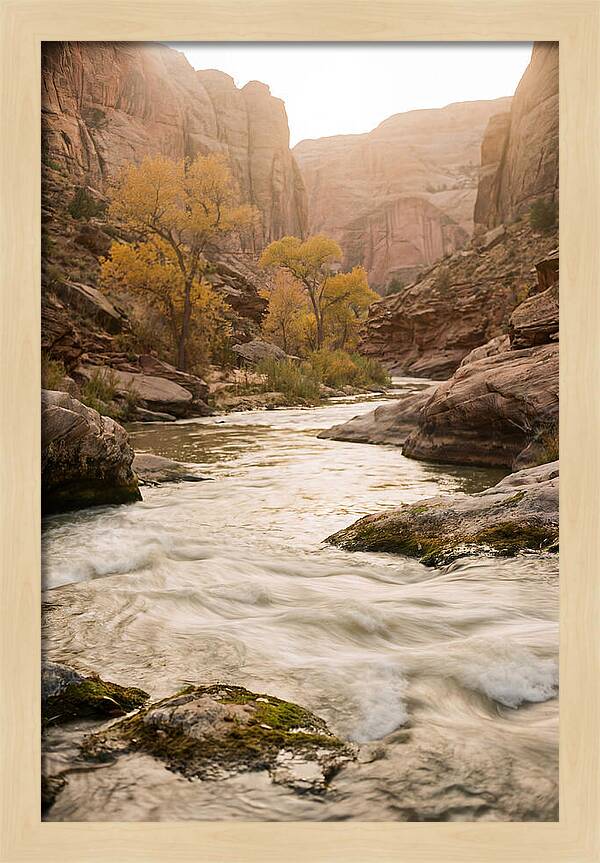 Tranquil Moments At Buffalo National River