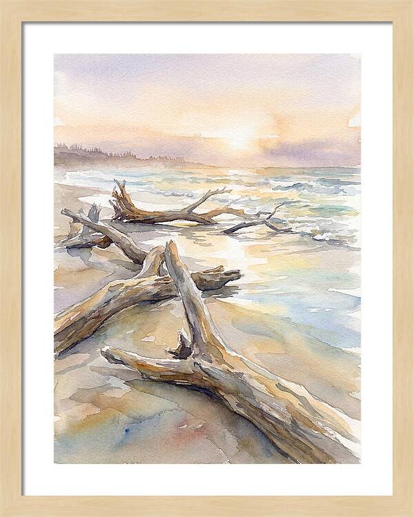 Tranquil Moments At Driftwood Beach