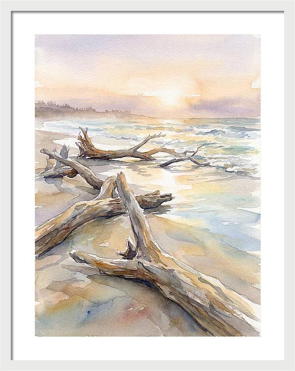 Tranquil Moments At Driftwood Beach