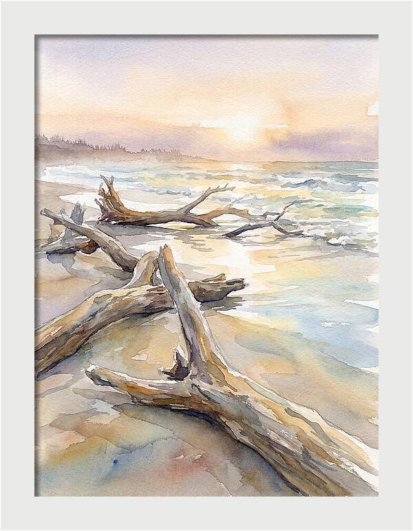 Tranquil Moments At Driftwood Beach