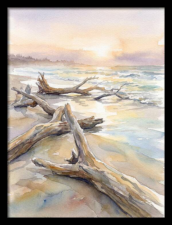 Tranquil Moments At Driftwood Beach