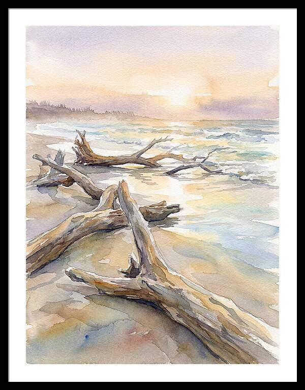 Tranquil Moments At Driftwood Beach