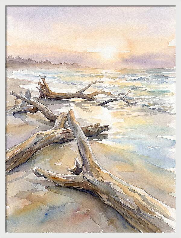 Tranquil Moments At Driftwood Beach