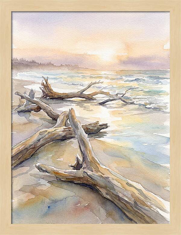 Tranquil Moments At Driftwood Beach