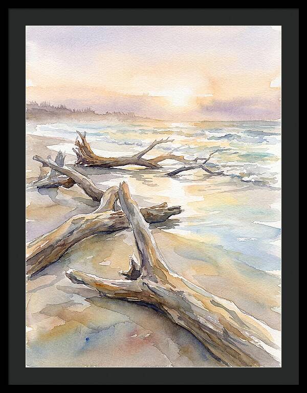 Tranquil Moments At Driftwood Beach
