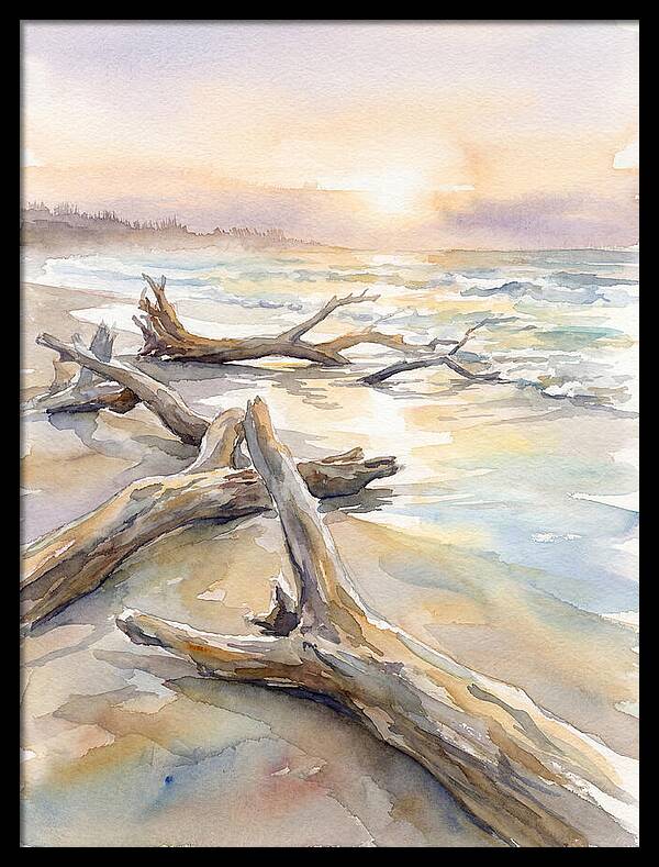 Tranquil Moments At Driftwood Beach
