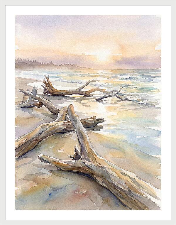 Tranquil Moments At Driftwood Beach