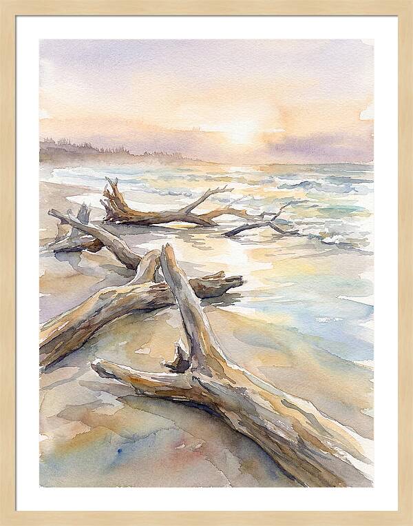 Tranquil Moments At Driftwood Beach