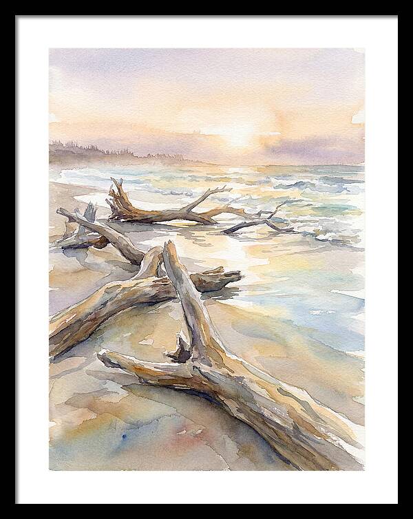 Tranquil Moments At Driftwood Beach