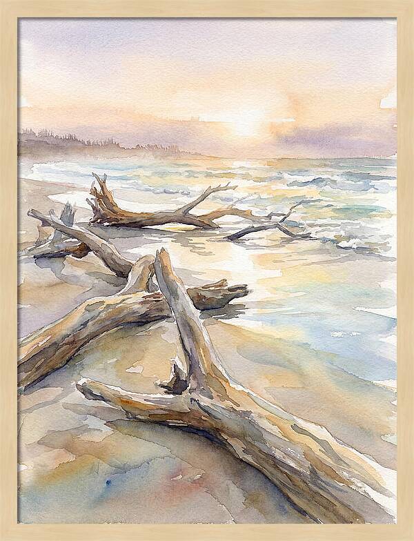 Tranquil Moments At Driftwood Beach