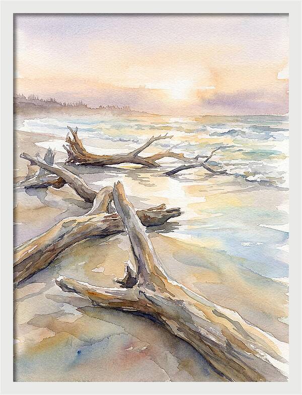 Tranquil Moments At Driftwood Beach