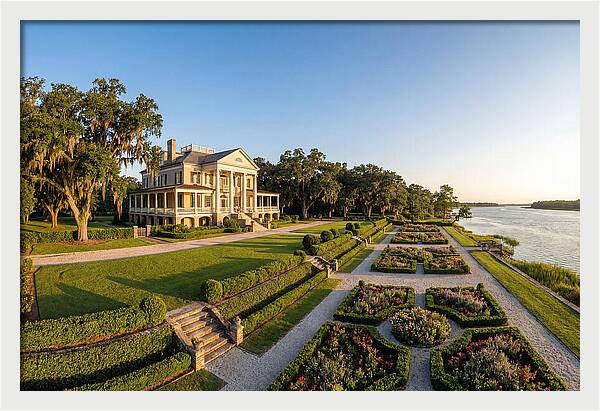 Tranquil Moments At Middleton Place