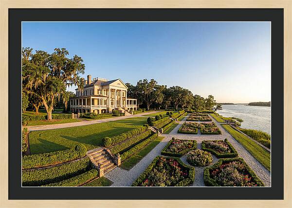 Tranquil Moments At Middleton Place