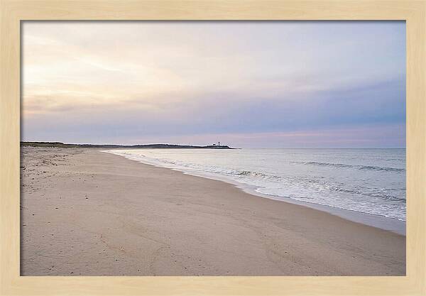 Tranquil Moments At Race Point Beach