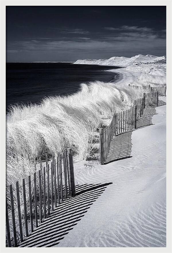 Tranquil Moments By The Coast