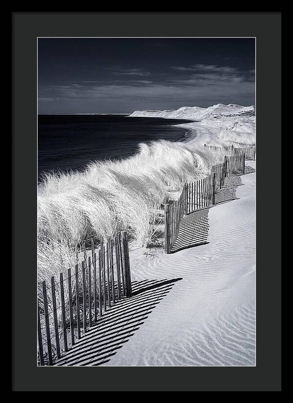 Tranquil Moments By The Coast